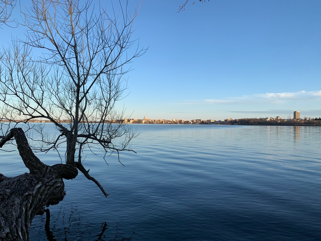 View from picnic point