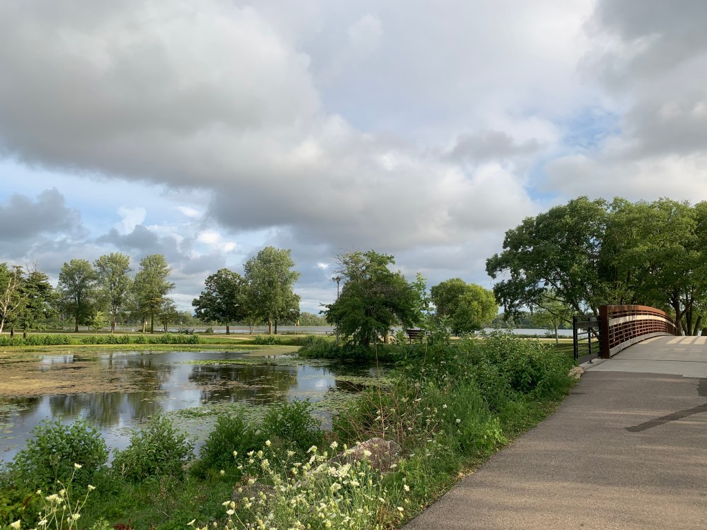 view from the trail over a marsh at vilas park